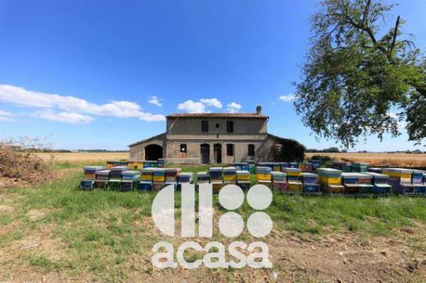 Foto CASA COLONICA TIPICA DA RISTRUTTURARE