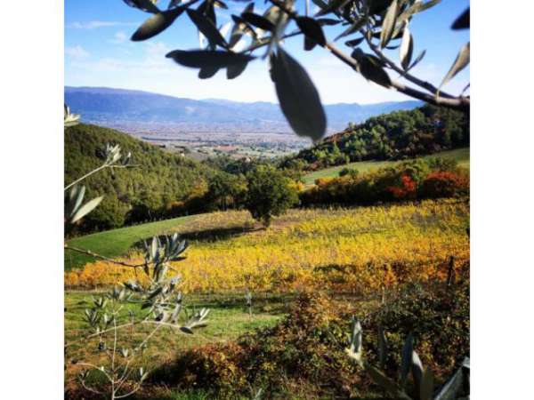 Foto Casa di campagna in Via delle Pianate San Sisto