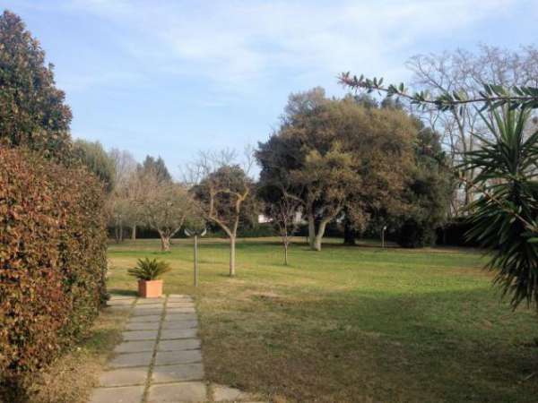 Foto CASA INDIPENDENTE di 7 vani e di 270 mq (GROSSETO -  GROSSETO  ZONA OLIVETO) rif. 01423IND