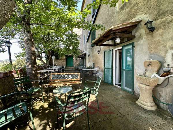 Foto Casa indipendente in vendita a Bibbona