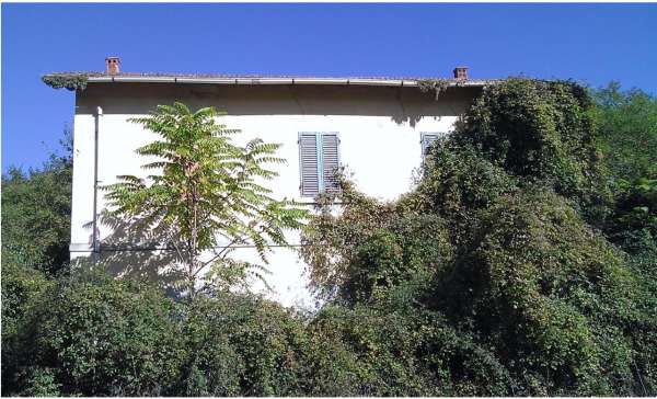 Foto Casa indipendente in vendita a Castellina In Chianti