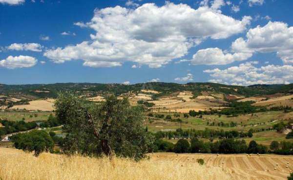Foto Casa indipendente in vendita a Cinigiano