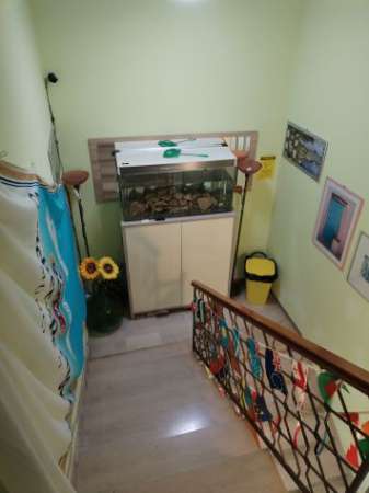 Foto CASA INDIPENDENTE RISTRUTTURATA E ARREDATA VILLALFONSINA (CH) ABRUZZO