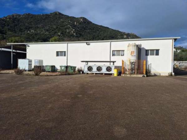 Foto Casa singola a Caltanissetta - Rif. 26055