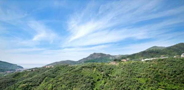 Foto Casa singola in vendita a Pastine - Levanto 170 mq  Rif: 1304783