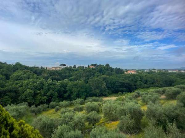 Foto Casa singola in vendita a Santa Maria a Monte 240 mq  Rif: 1169784