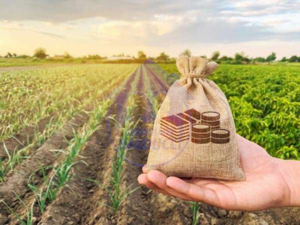 Foto Cesenatico terreno agricolo fronte strada