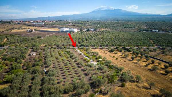 Foto CODICE 5268 TERRENO PIANEGGIANTE SU STRADA CON ACQUA E LUCE