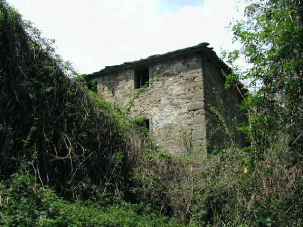 Foto Colonica in vendita a Poppi 5000 mq  Rif: 325341