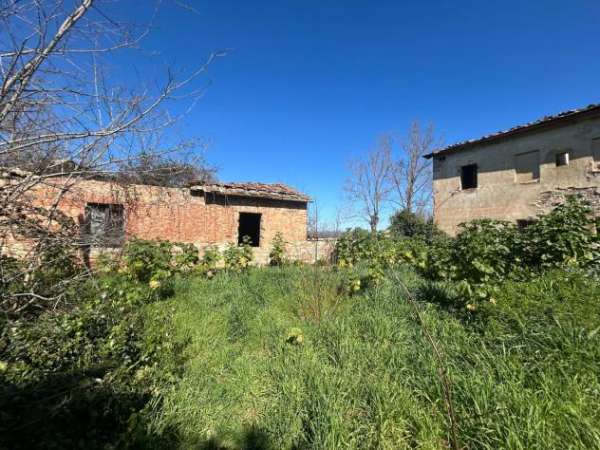 Foto Colonica in vendita a Torre a Castello - Asciano 800 mq  Rif: 1312814