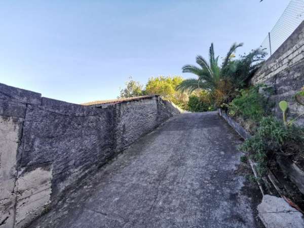 Foto Costa Saracena: terreno 2000 mq con costruzione di 60 mq