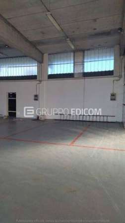 Foto Fabbricati costruiti per esigenze commerciali in vendita a San Pietro Mosezzo - Rif. 4513655