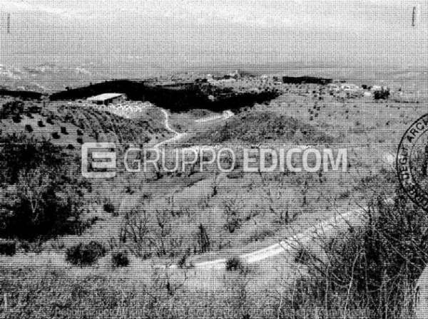 Foto Fabbricati per attivit  agricole di 4740 mq  in vendita a Bisignano - Rif. 4506000