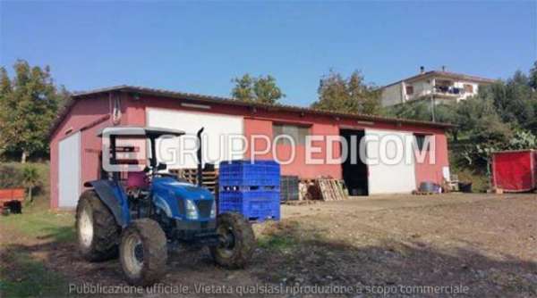 Foto Fabbricati per attivit  agricole in vendita a Roggiano Gravina - Rif. 4502039