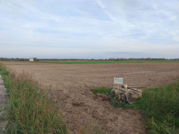 Foto FinImmobil by Immobiliare Occhineri vende terreno agricolo  seminativo ettari 1,
