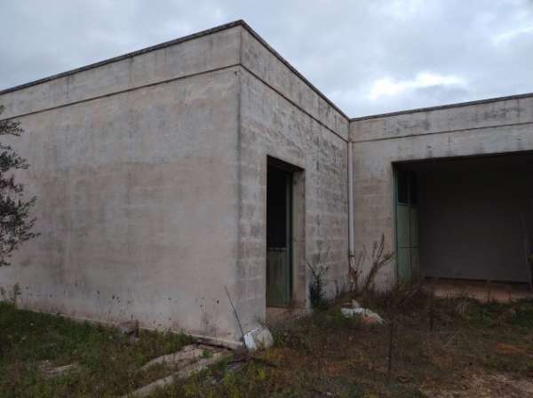 Foto FinImmobil vende in San Donato di Lecce (LE) contrada Piezzo casa con terreno
