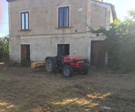 Foto Frutteto in vendita a Castrovillari