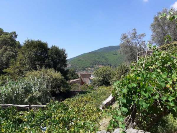 Foto Garage in vendita a Calci 177 mq  Rif: 970961