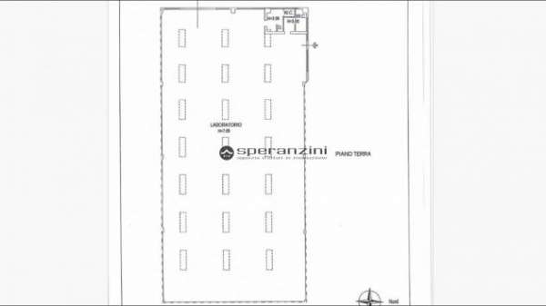 Foto Ideale come investimentosant'ippolito, localit  pian di rose in zona produttiva adiacente lo svincolo della superstrada proponiamo in vendita opifici