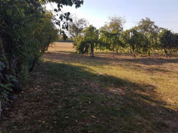 Foto Immobile di 160 m in vendita a Carpi