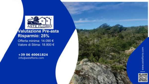Foto Immobile in asta di 12561 m in vendita a Arzachena