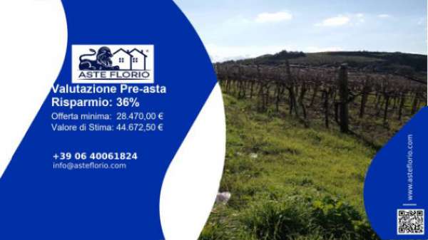 Foto Immobile in asta di 12670 m in vendita a Canicatt�