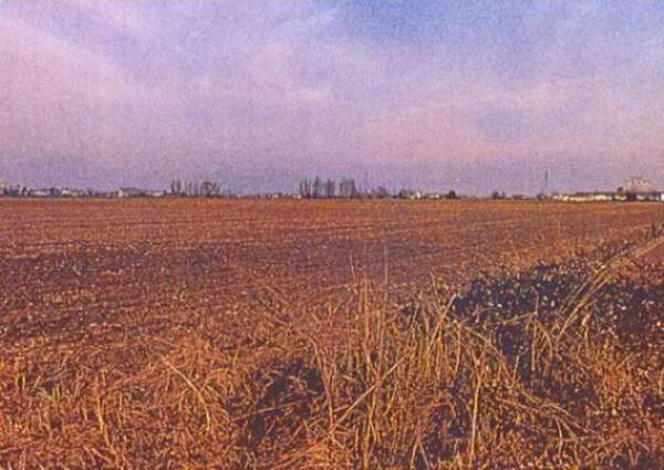 Foto Immobile in asta di 155920 m in vendita a Musile di Piave