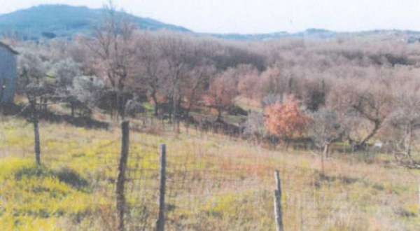 Foto Immobile in asta di 1748 m in vendita a Sturno