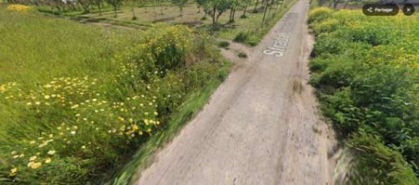 Foto Immobile in asta di 200 m con 1 locale in vendita a Noicattaro