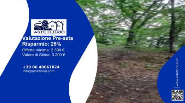 Foto Immobile in asta di 3384 m in vendita a Nogarole Vicentino