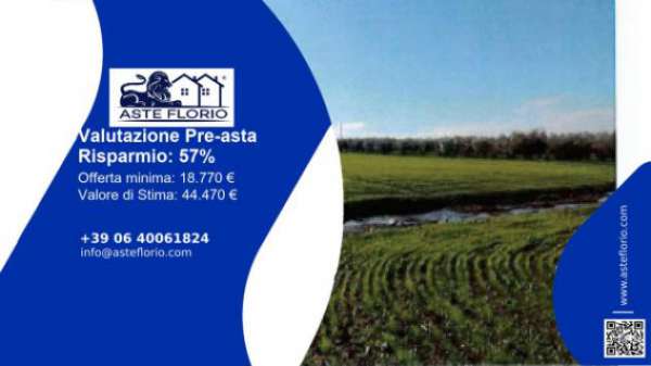 Foto Immobile in asta di 36970 m in vendita a Viterbo