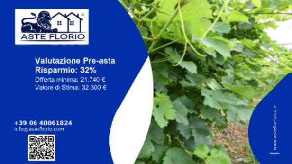 Foto Immobile in asta di 922 m in vendita a Vidor