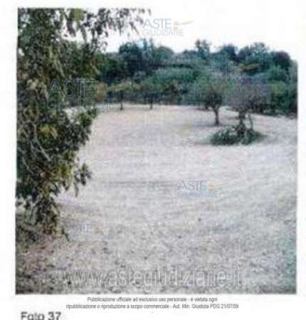 Foto IMMOBILI-ALTRA CATEGORIA-97015 modica rg, italia