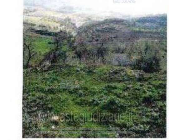Foto IMMOBILI-ALTRA CATEGORIA-C.da montesano