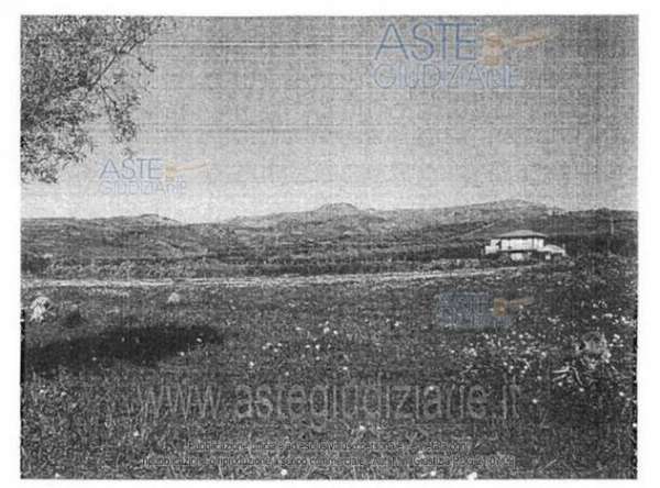 Foto IMMOBILI-ALTRA CATEGORIA-Comune di centuripe