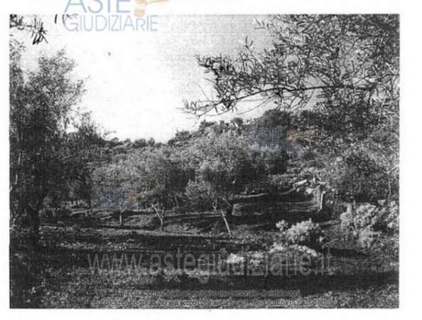 Foto IMMOBILI-ALTRA CATEGORIA-Comune di centuripe