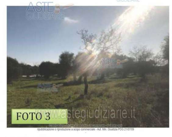 Foto IMMOBILI-ALTRA CATEGORIA-Contrada macchie s. rocco o lama di carro