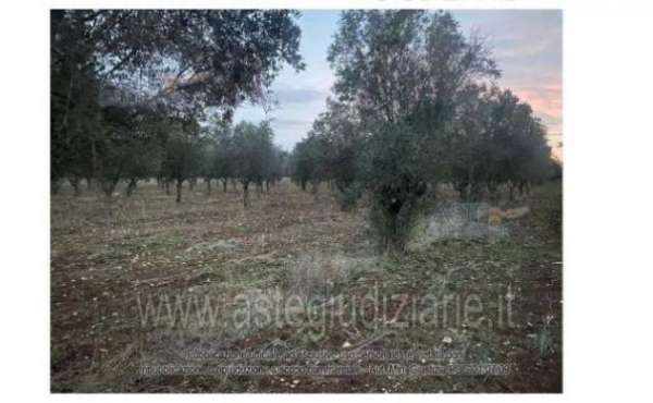 Foto IMMOBILI-ALTRA CATEGORIA-Contrada masseria nuova, 74024 manduria ta, italia