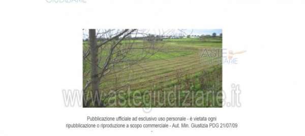 Foto IMMOBILI-ALTRA CATEGORIA-Contrada streficci