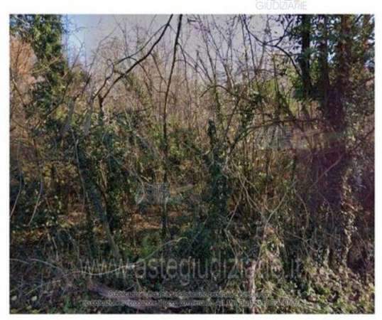 Foto IMMOBILI-ALTRA CATEGORIA-Frazione valvinera, 3, 14030 valvinera at, italia