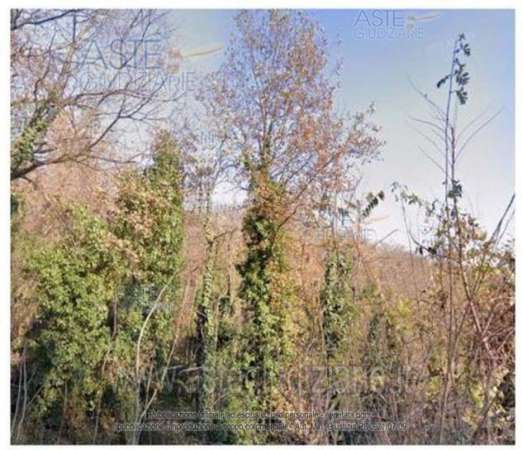 Foto IMMOBILI-ALTRA CATEGORIA-Frazione valvinera, 3, 14030 valvinera at, italia