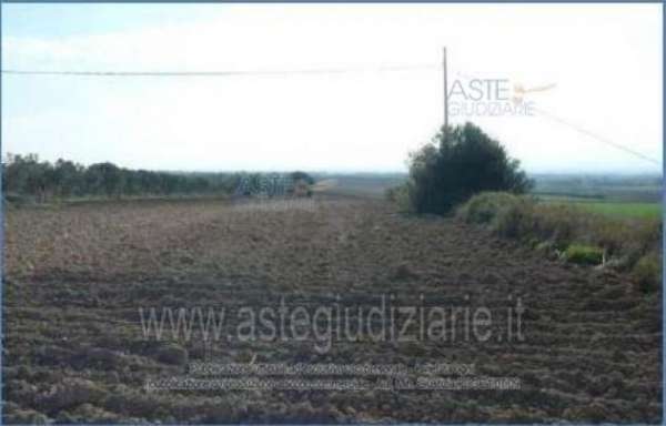 Foto IMMOBILI-ALTRA CATEGORIA-Loc. tuppe e piga