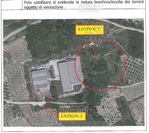 Foto IMMOBILI-ALTRA CATEGORIA-Localit  arenella