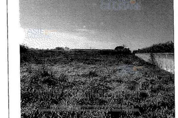 Foto IMMOBILI-ALTRA CATEGORIA-Localita' licola - via madonna del pantano