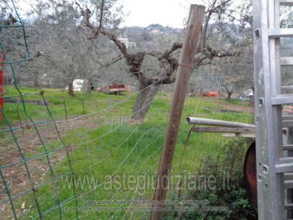 Foto IMMOBILI-ALTRA CATEGORIA-S.s.16 bis monte