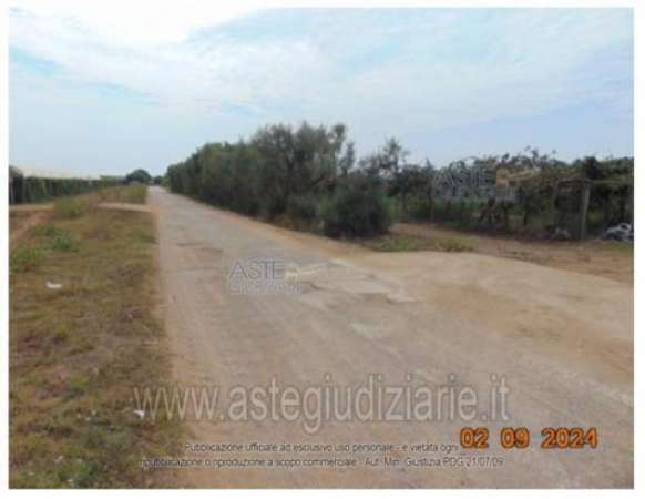 Foto IMMOBILI-ALTRA CATEGORIA-Strada della cooperativa snc