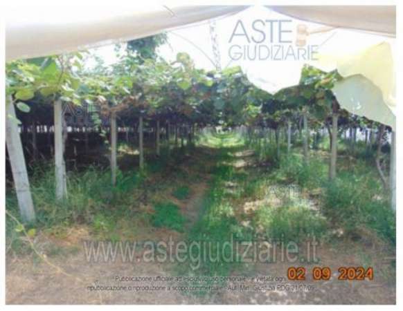 Foto IMMOBILI-ALTRA CATEGORIA-Strada della cooperativa snc