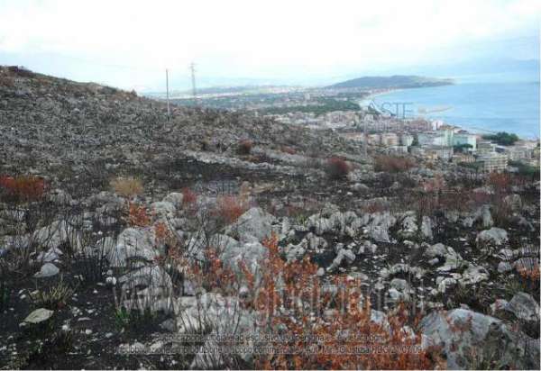 Foto IMMOBILI-ALTRA CATEGORIA-Via solaro loc. caravalle