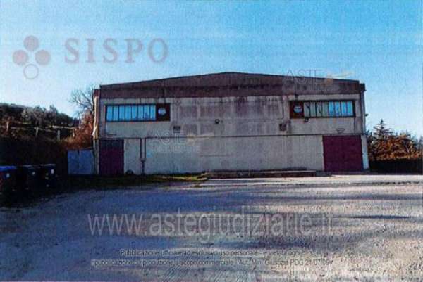 Foto IMMOBILI-IMMOBILE INDUSTRIALE-Frazione spina , localit  monticello basso