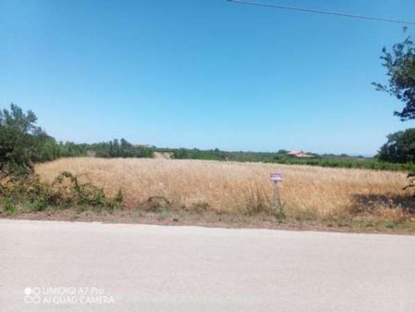 Foto Industriale in vendita a Lanciano